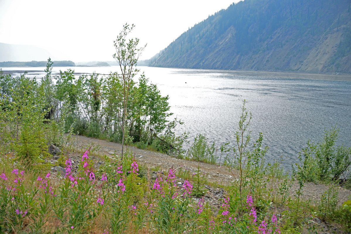 08 The Klondike River Joins The Yukon River In Dawson City Yukon